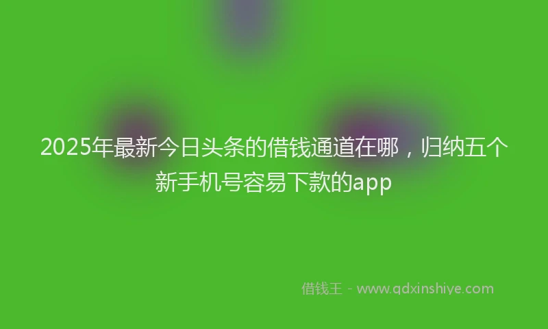 2025年最新今日头条的借钱通道在哪，归纳五个新手机号容易下款的app