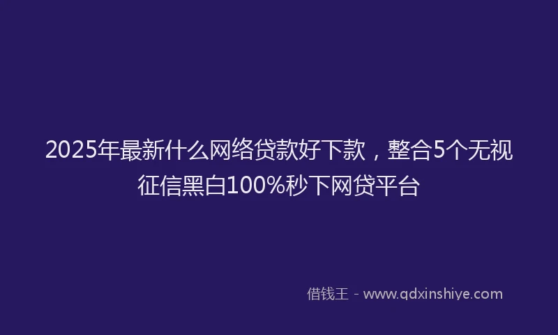 2025年最新什么网络贷款好下款，整合5个无视征信黑白100%秒下网贷平台