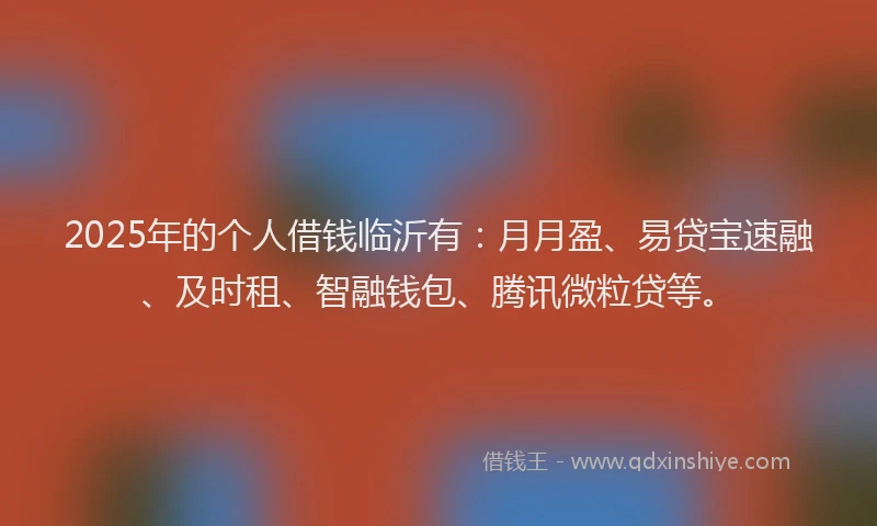 2025年的个人借钱临沂有：月月盈、易贷宝速融、及时租、智融钱包、腾讯微粒贷等。