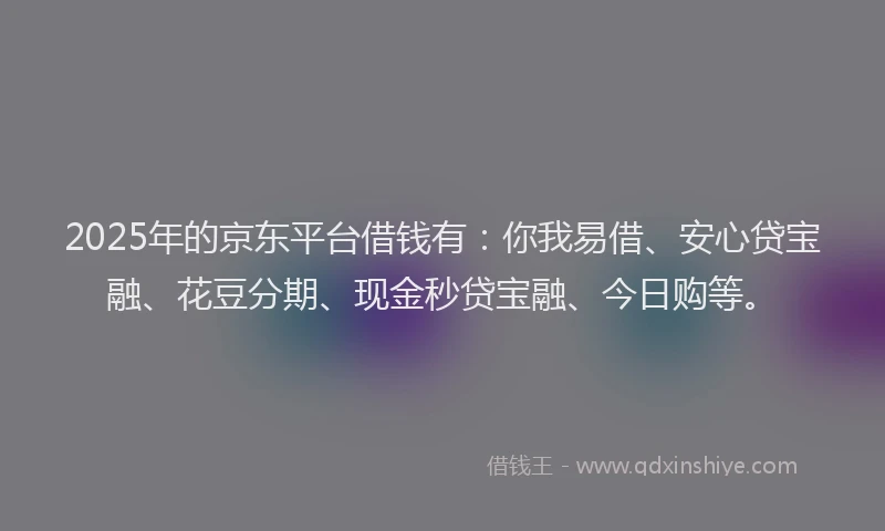 2025年的京东平台借钱有：你我易借、安心贷宝融、花豆分期、现金秒贷宝融、今日购等。