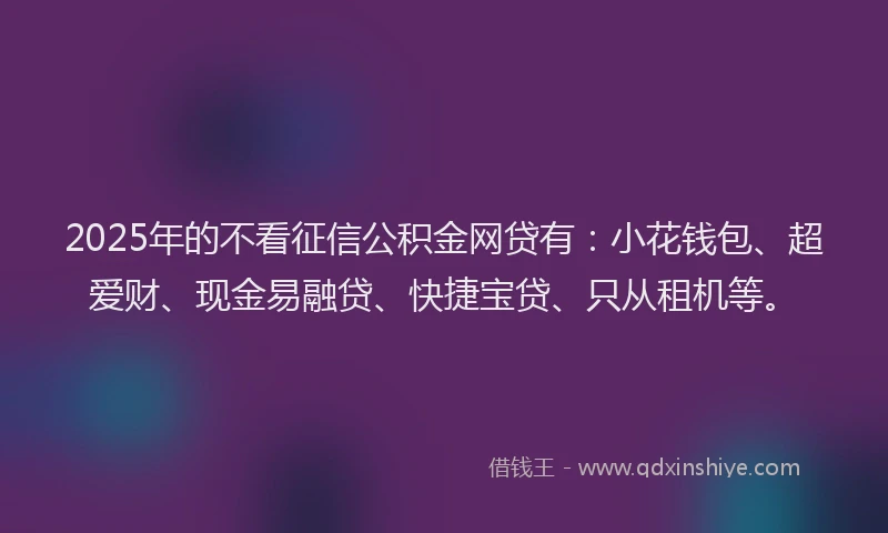 2025年的不看征信公积金网贷有：小花钱包、超爱财、现金易融贷、快捷宝贷、只从租机等。