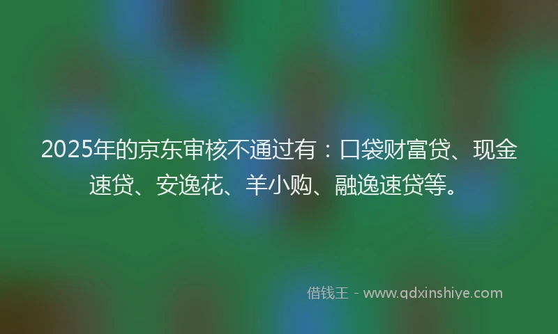 2025年的京东审核不通过有：口袋财富贷、现金速贷、安逸花、羊小购、融逸速贷等。