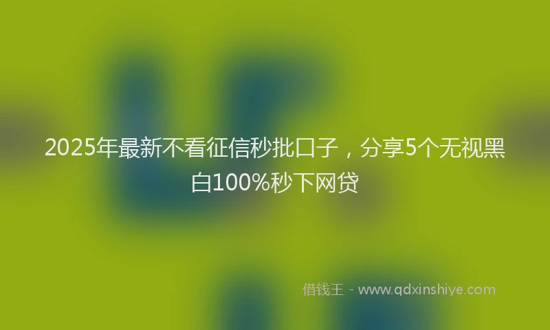 2025年最新不看征信秒批口子，分享5个无视黑白100%秒下网贷