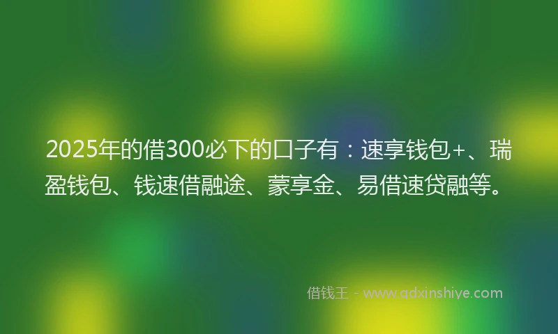 2025年的借300必下的口子有：速享钱包+、瑞盈钱包、钱速借融途、蒙享金、易借速贷融等。