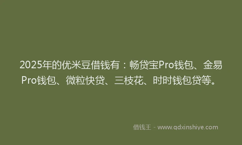 2025年的优米豆借钱有：畅贷宝Pro钱包、金易Pro钱包、微粒快贷、三枝花、时时钱包贷等。