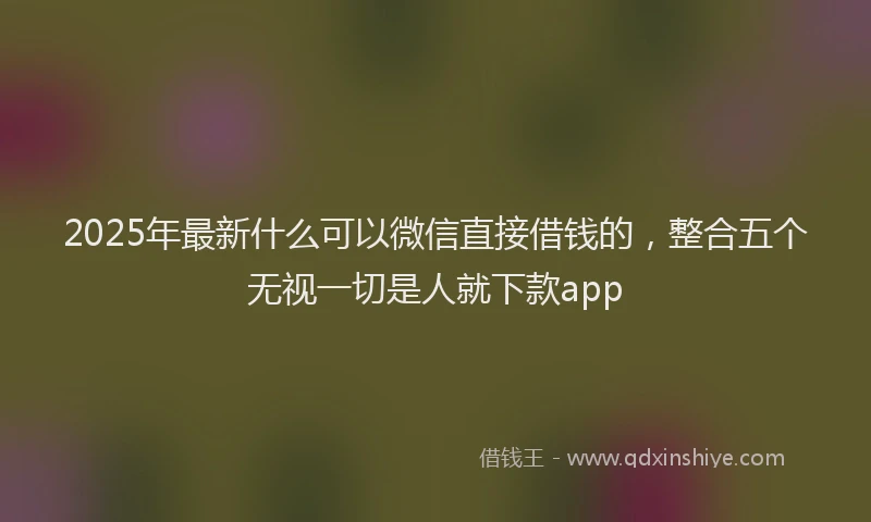 2025年最新什么可以微信直接借钱的，整合五个无视一切是人就下款app