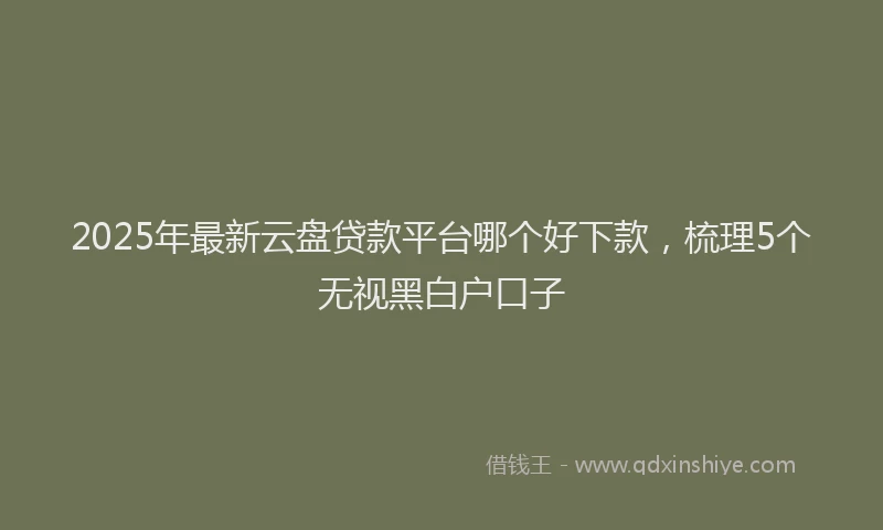 2025年最新云盘贷款平台哪个好下款，梳理5个无视黑白户口子