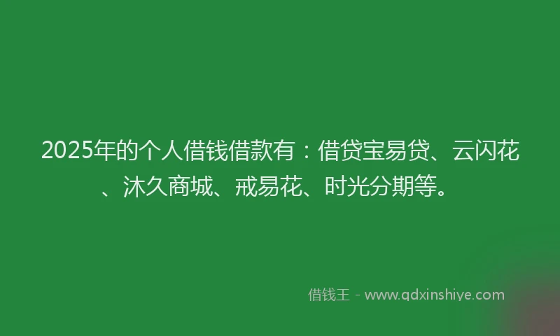 2025年的个人借钱借款有：借贷宝易贷、云闪花、沐久商城、戒易花、时光分期等。