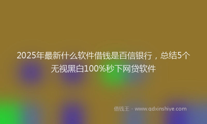 2025年最新什么软件借钱是百信银行，总结5个无视黑白100%秒下网贷软件
