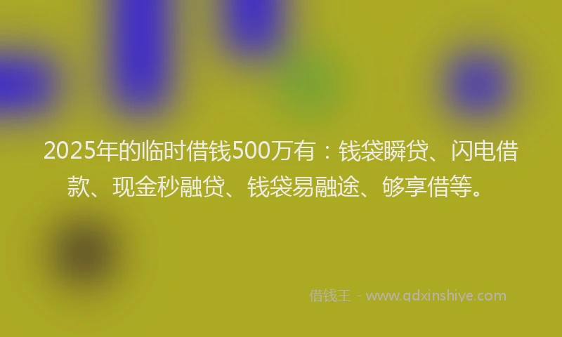 2025年的临时借钱500万有：钱袋瞬贷、闪电借款、现金秒融贷、钱袋易融途、够享借等。