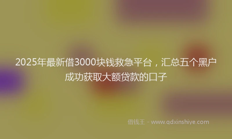 2025年最新借3000块钱救急平台，汇总五个黑户成功获取大额贷款的口子