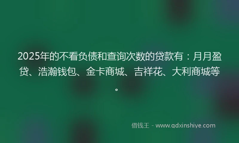 2025年的不看负债和查询次数的贷款有：月月盈贷、浩瀚钱包、金卡商城、吉祥花、大利商城等。