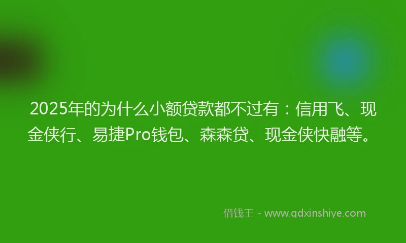 2025年的为什么小额贷款都不过有：信用飞、现金侠行、易捷Pro钱包、森森贷、现金侠快融等。