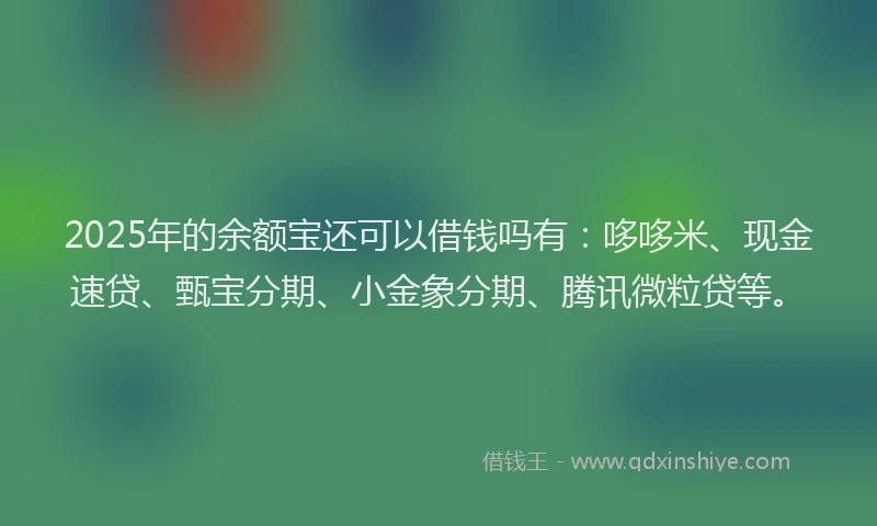 2025年的余额宝还可以借钱吗有：哆哆米、现金速贷、甄宝分期、小金象分期、腾讯微粒贷等。
