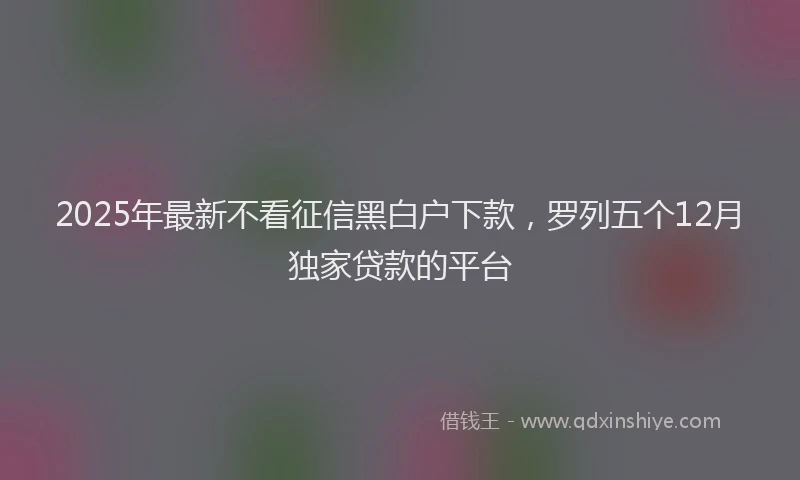 2025年最新不看征信黑白户下款，罗列五个12月独家贷款的平台