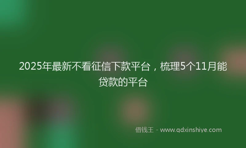 2025年最新不看征信下款平台，梳理5个11月能贷款的平台