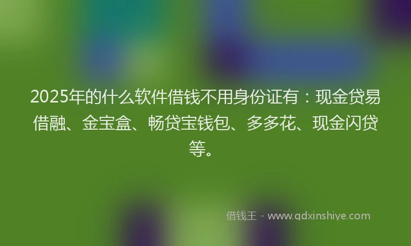 2025年的什么软件借钱不用身份证有：现金贷易借融、金宝盒、畅贷宝钱包、多多花、现金闪贷等。