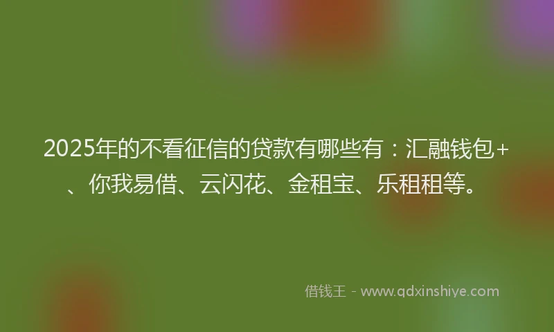 2025年的不看征信的贷款有哪些有：汇融钱包+、你我易借、云闪花、金租宝、乐租租等。