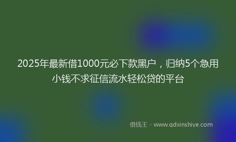 2025年最新借1000元必下款黑户，归纳5个急用小钱不求征信流水轻松贷的平台