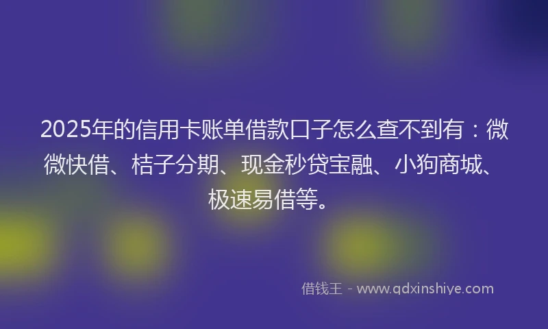 2025年的信用卡账单借款口子怎么查不到有：微微快借、桔子分期、现金秒贷宝融、小狗商城、极速易借等。