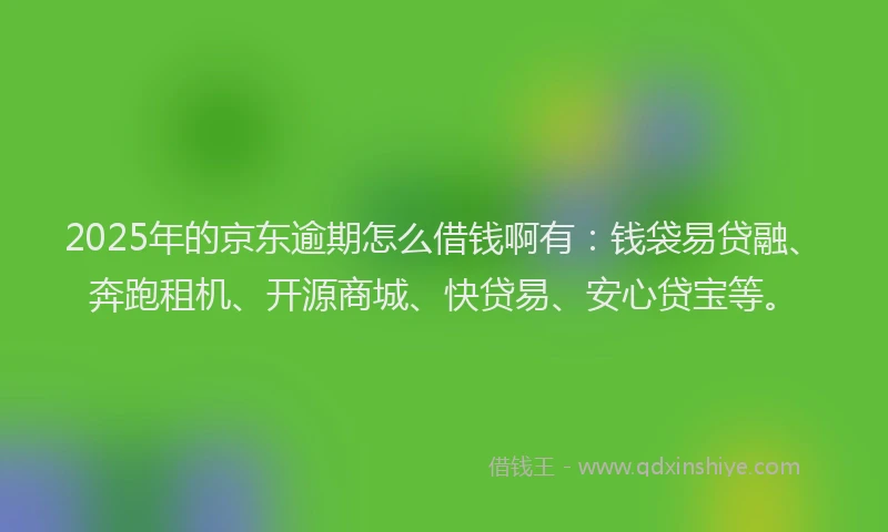 2025年的京东逾期怎么借钱啊有：钱袋易贷融、奔跑租机、开源商城、快贷易、安心贷宝等。