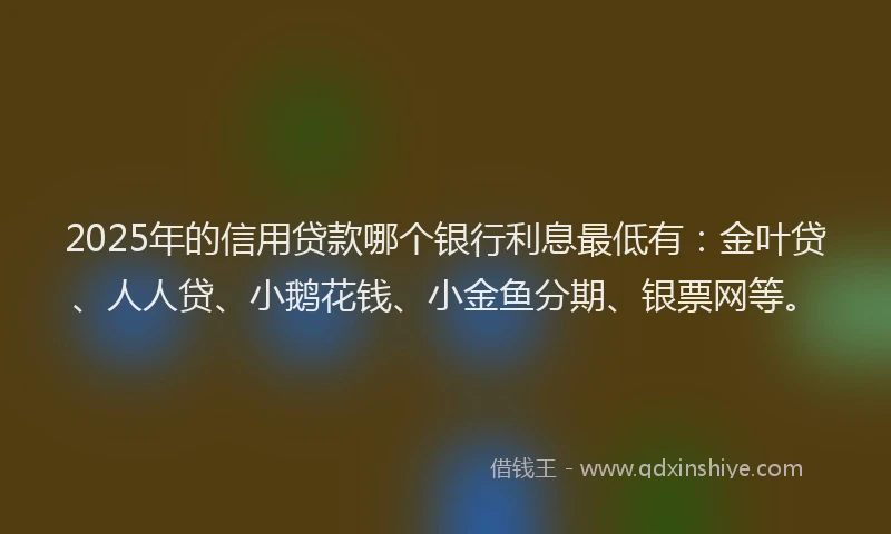 2025年的信用贷款哪个银行利息最低有：金叶贷、人人贷、小鹅花钱、小金鱼分期、银票网等。