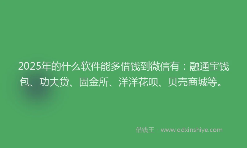 2025年的什么软件能多借钱到微信有：融通宝钱包、功夫贷、固金所、洋洋花呗、贝壳商城等。