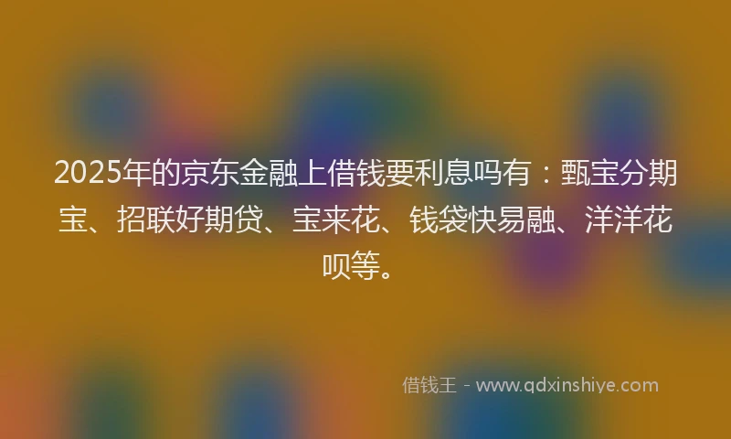 2025年的京东金融上借钱要利息吗有：甄宝分期宝、招联好期贷、宝来花、钱袋快易融、洋洋花呗等。