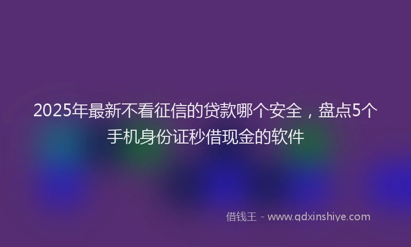 2025年最新不看征信的贷款哪个安全，盘点5个手机身份证秒借现金的软件