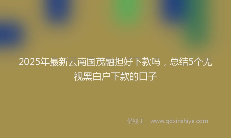 2025年最新云南国茂融担好下款吗，总结5个无视黑白户下款的口子