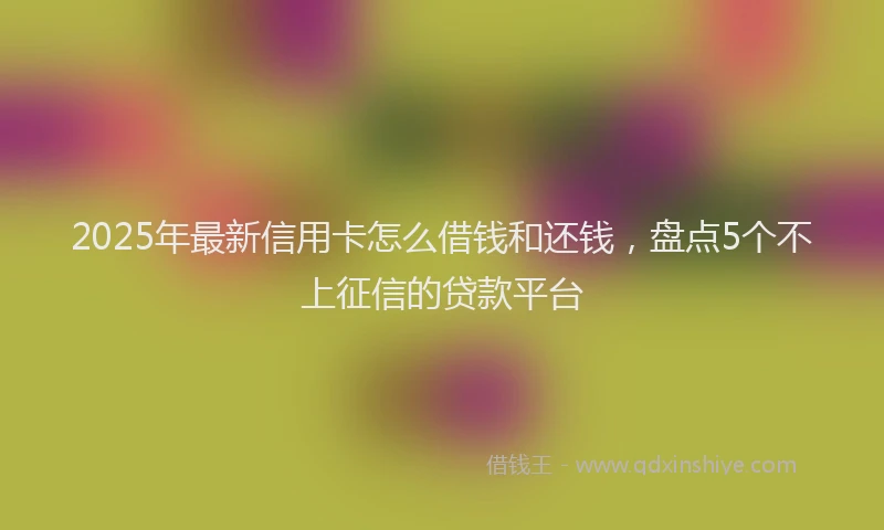 2025年最新信用卡怎么借钱和还钱，盘点5个不上征信的贷款平台