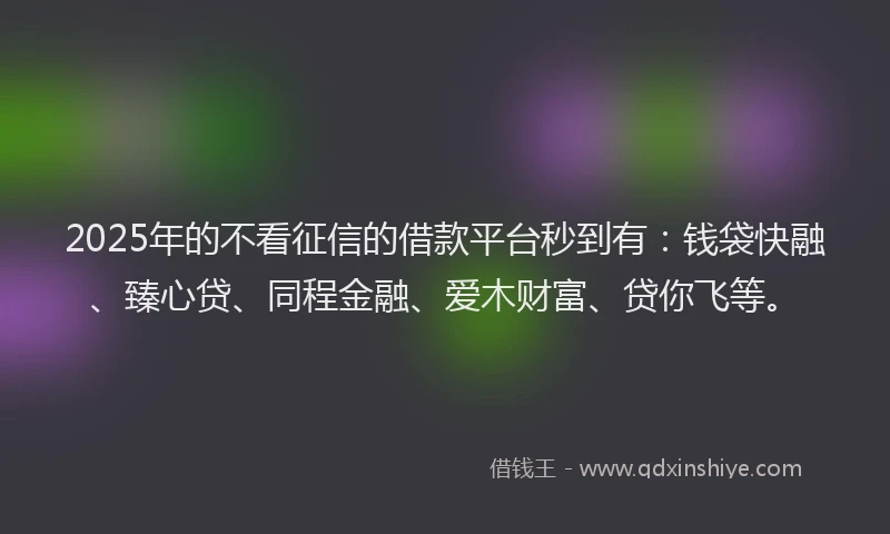 2025年的不看征信的借款平台秒到有：钱袋快融、臻心贷、同程金融、爱木财富、贷你飞等。