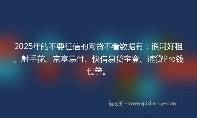 2025年的不要征信的网贷不看数据有：银河好租、射手花、京享易付、快借易贷宝盒、速贷Pro钱包等。