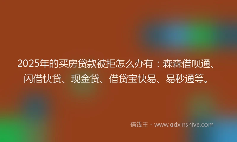 2025年的买房贷款被拒怎么办有：森森借呗通、闪借快贷、现金贷、借贷宝快易、易秒通等。