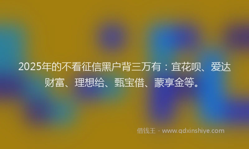 2025年的不看征信黑户背三万有：宜花呗、爱达财富、理想给、甄宝借、蒙享金等。