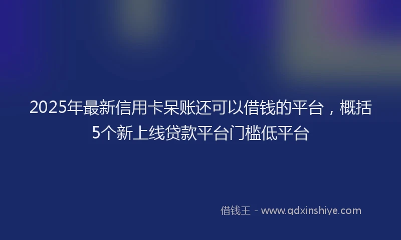 2025年最新信用卡呆账还可以借钱的平台，概括5个新上线贷款平台门槛低平台