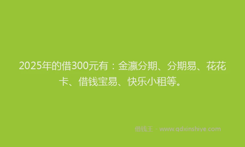 2025年的借300元有：金瀛分期、分期易、花花卡、借钱宝易、快乐小租等。