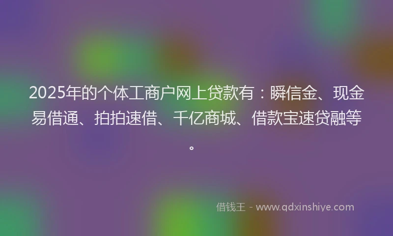 2025年的个体工商户网上贷款有：瞬信金、现金易借通、拍拍速借、千亿商城、借款宝速贷融等。