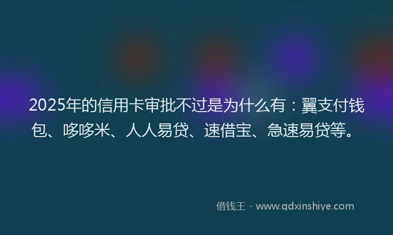 2025年的信用卡审批不过是为什么有：翼支付钱包、哆哆米、人人易贷、速借宝、急速易贷等。