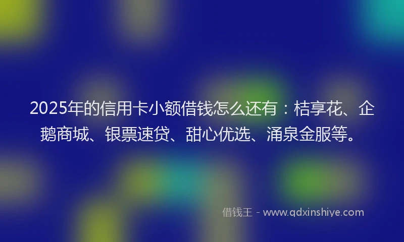2025年的信用卡小额借钱怎么还有：桔享花、企鹅商城、银票速贷、甜心优选、涌泉金服等。