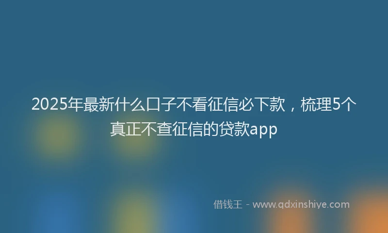 2025年最新什么口子不看征信必下款，梳理5个真正不查征信的贷款app