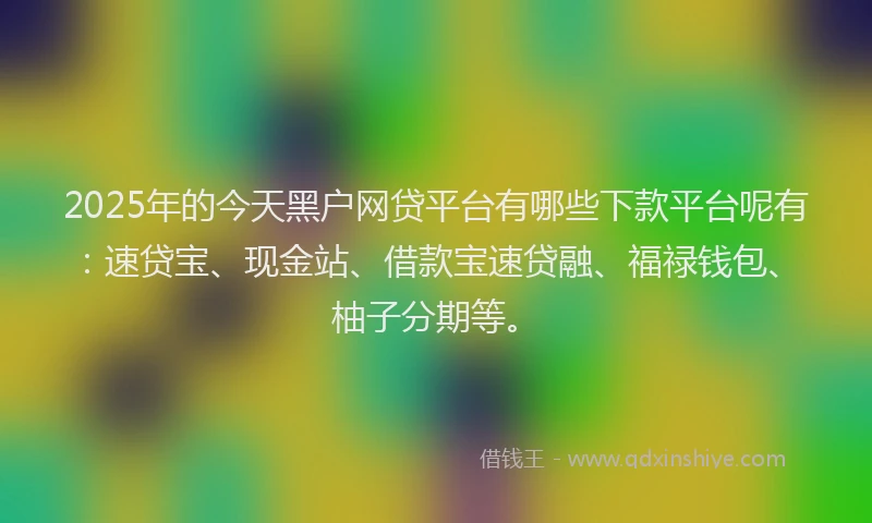 2025年的今天黑户网贷平台有哪些下款平台呢有：速贷宝、现金站、借款宝速贷融、福禄钱包、柚子分期等。