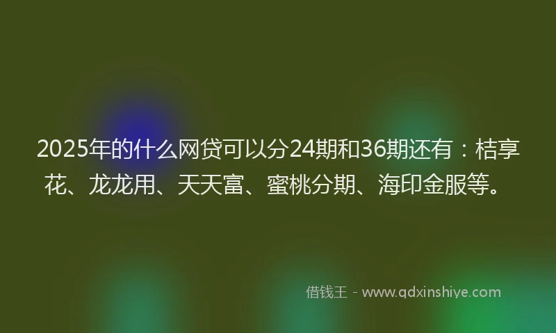 2025年的什么网贷可以分24期和36期还有：桔享花、龙龙用、天天富、蜜桃分期、海印金服等。