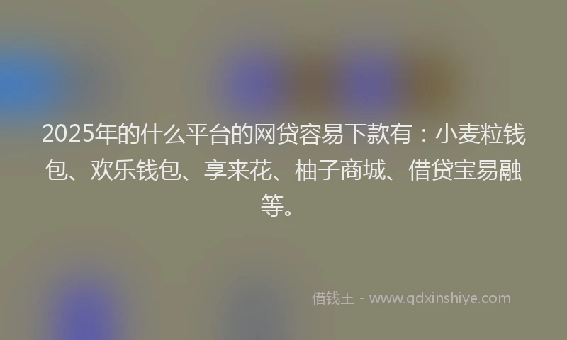2025年的什么平台的网贷容易下款有：小麦粒钱包、欢乐钱包、享来花、柚子商城、借贷宝易融等。