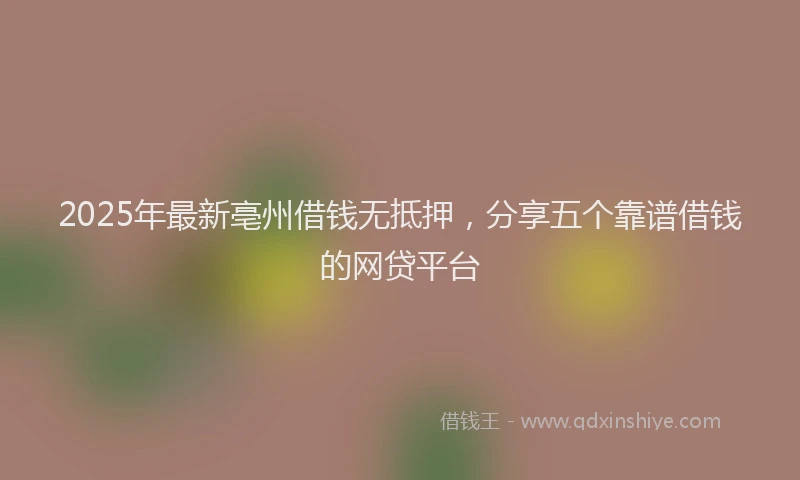 2025年最新亳州借钱无抵押，分享五个靠谱借钱的网贷平台
