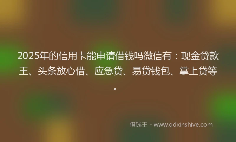 2025年的信用卡能申请借钱吗微信有：现金贷款王、头条放心借、应急贷、易贷钱包、掌上贷等。