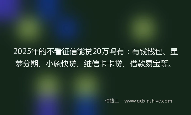 2025年的不看征信能贷20万吗有：有钱钱包、星梦分期、小象快贷、维信卡卡贷、借款易宝等。