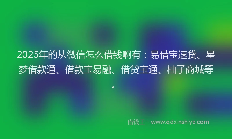 2025年的从微信怎么借钱啊有：易借宝速贷、星梦借款通、借款宝易融、借贷宝通、柚子商城等。
