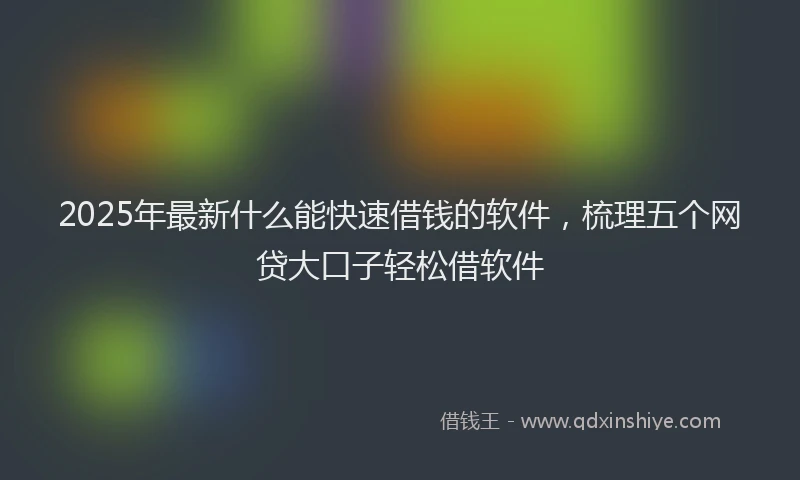 2025年最新什么能快速借钱的软件，梳理五个网贷大口子轻松借软件