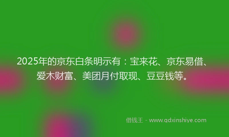 2025年的京东白条明示有：宝来花、京东易借、爱木财富、美团月付取现、豆豆钱等。